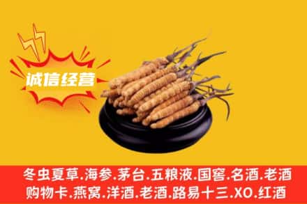 中山三角镇回收冬虫夏草